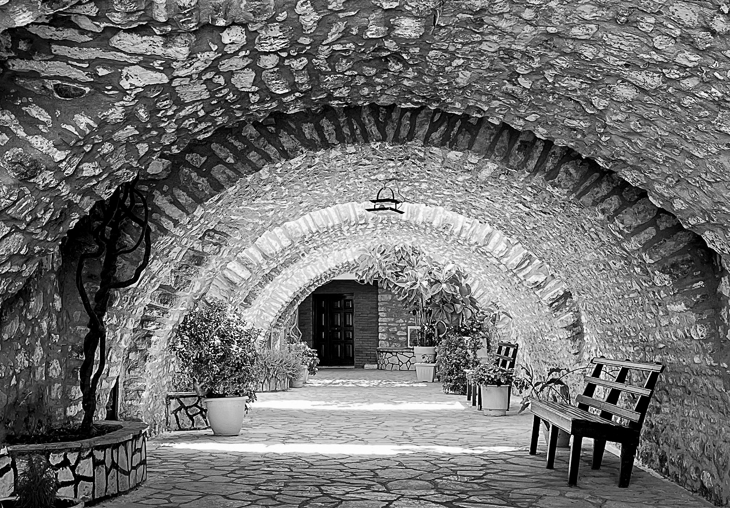 3rd Grand Award For Year End Open Mono In Class 1 By Melanie Berlin For Grecian Garden Tunnel With 20.5 Points in MAY-10-2023.jpg